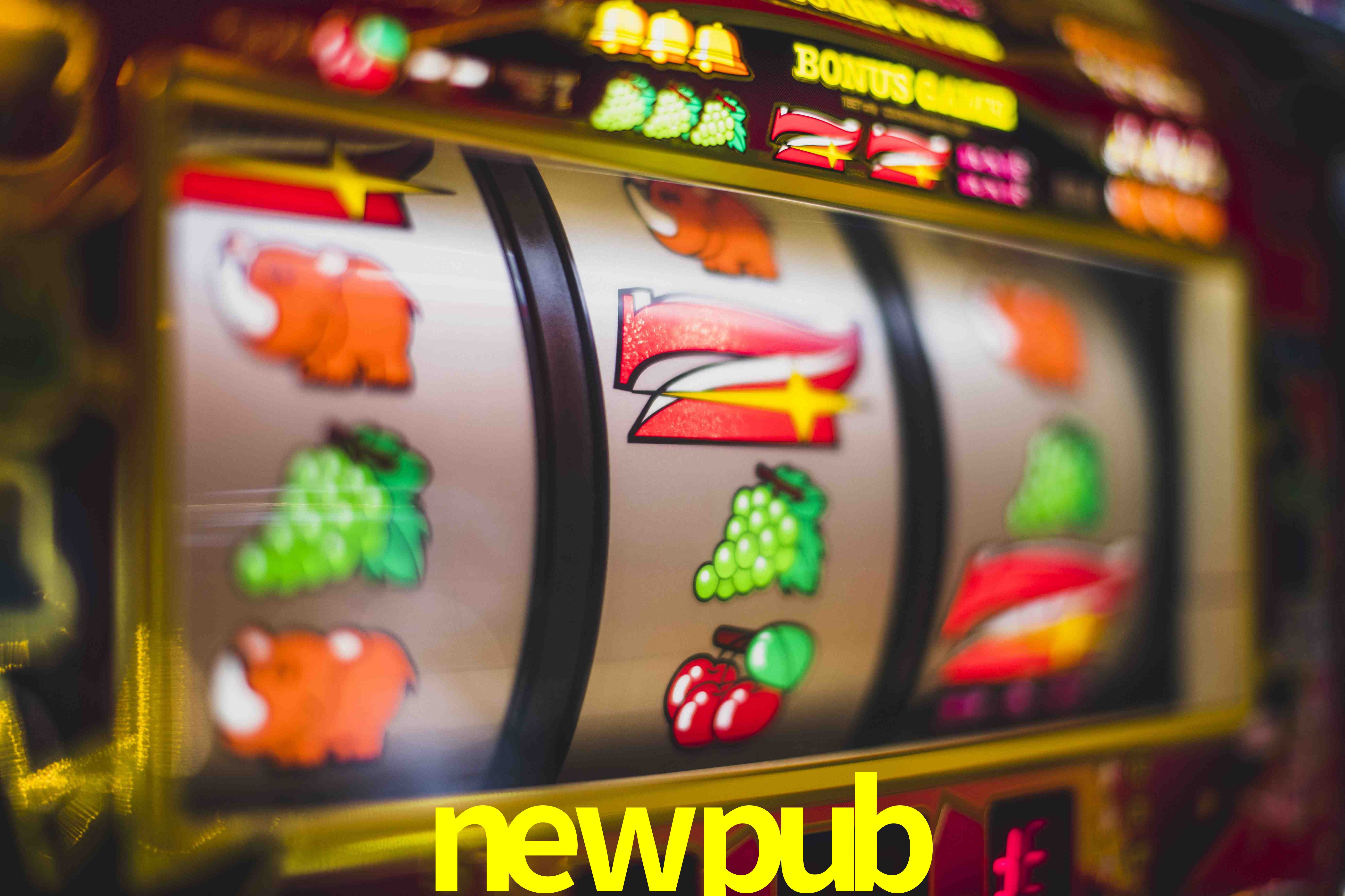 Basketball Betting newpub